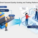 AI Based Dried Seaweed Grading Platform
